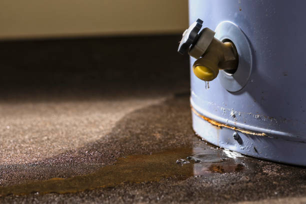 Best Flood damage cleanup  in Newburyport, MA