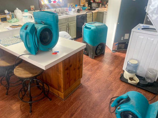 Water damage restoration mold remediation in MA