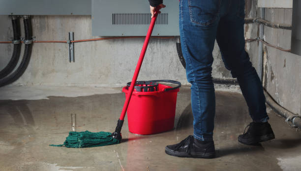 Best Water damage restoration near me  in Newburyport, MA