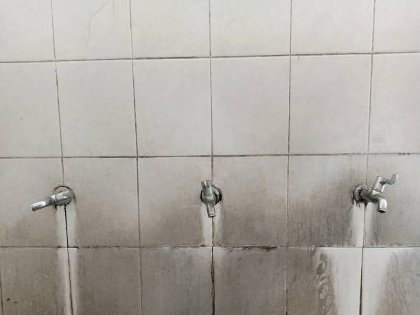 Best Mold removal after water damage  in Newburyport, MA