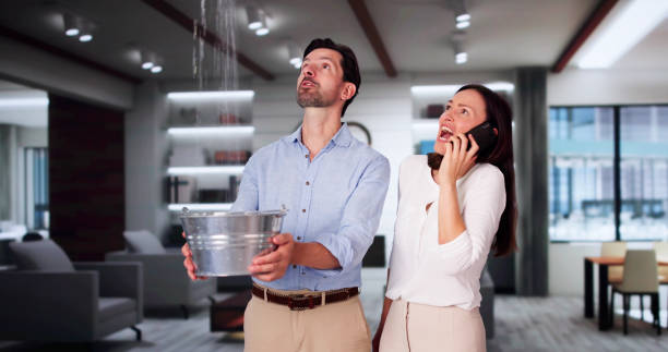 Best Water damage cleanup near me  in Newburyport, MA
